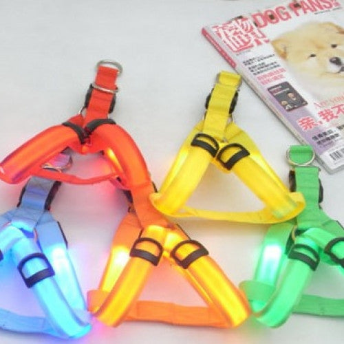 Flashing Light Up Safety Harness Collar